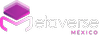MetaverseMex
